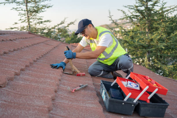 Best Metal Roofing Contractor  in Valley Center, KS