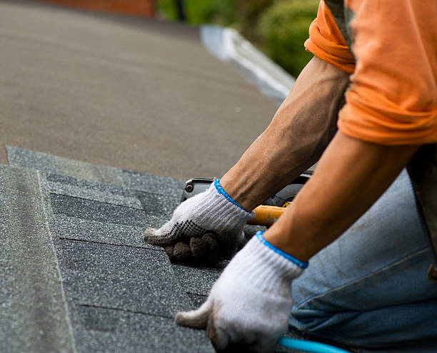 Best Roof Gutter Cleaning  in Valley Center, KS